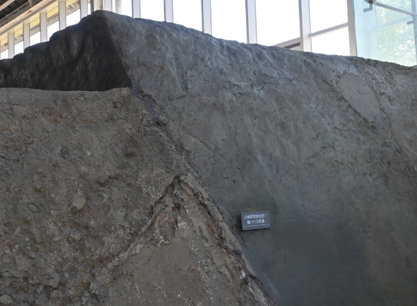 北淡震災記念公園