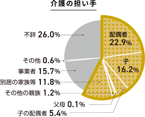 介護の担い手の円グラフ